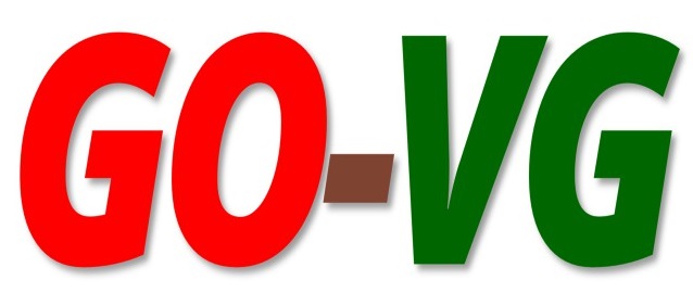 go-vg.go-vg.com